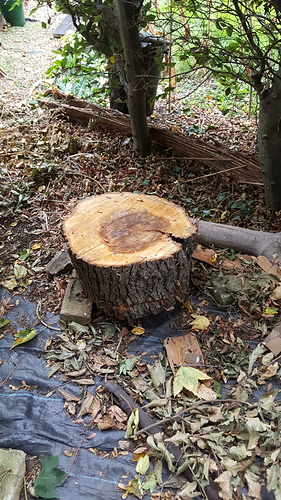 20180920_131328