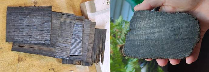 Slices of bog oak